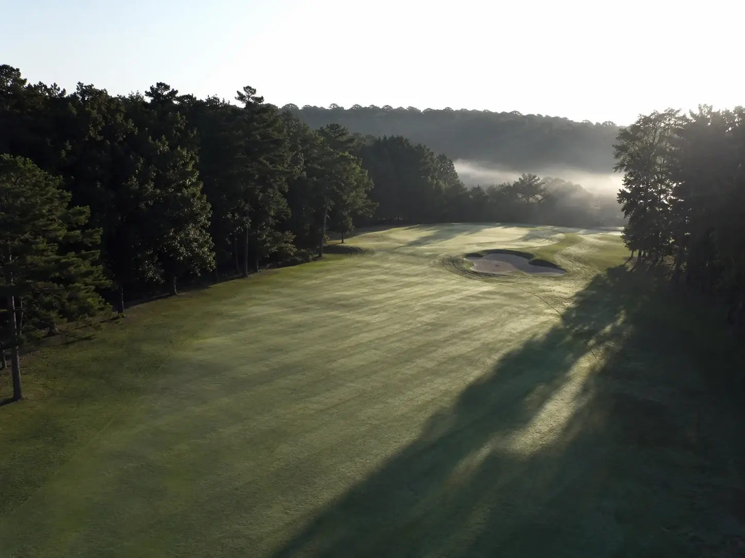 Fairway and rough at first light, freshly cut, no crew on the course