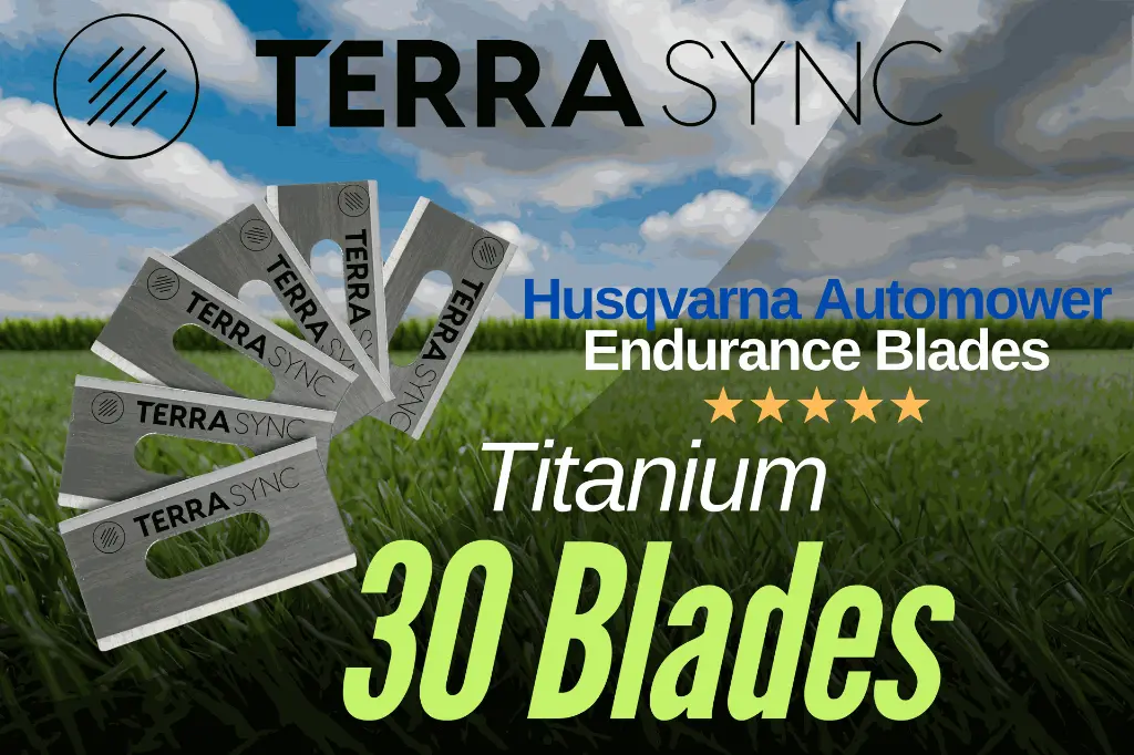 Your paragraph text.webp