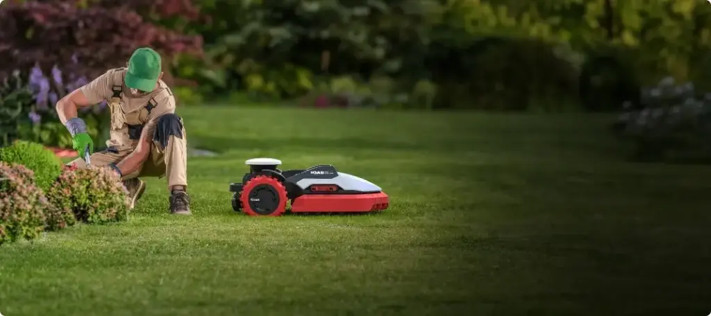 Blog Post 'Making the Cut' cover image.webp